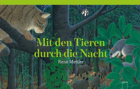 René Mettler: Mit den Tieren durch die Nacht, Buch