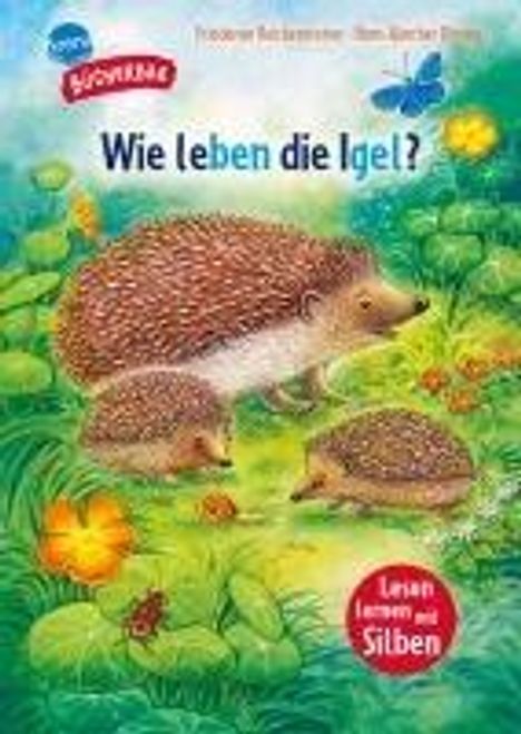 Friederun Reichenstetter: Sachwissen für Erstleser. Wie leben die Igel?, Buch