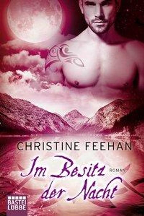 Christine Feehan: Im Besitz der Nacht, Buch