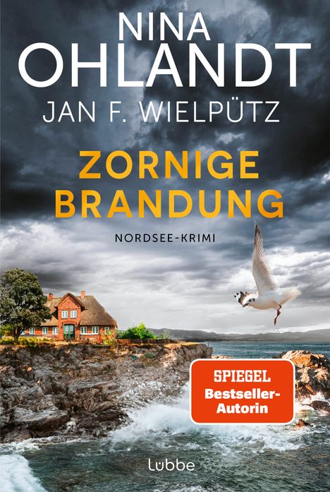 Nina Ohlandt: Zornige Brandung, Buch