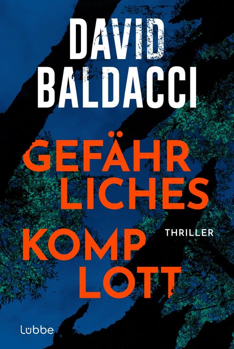 David Baldacci (geb. 1960): Gefährliches Komplott, Buch