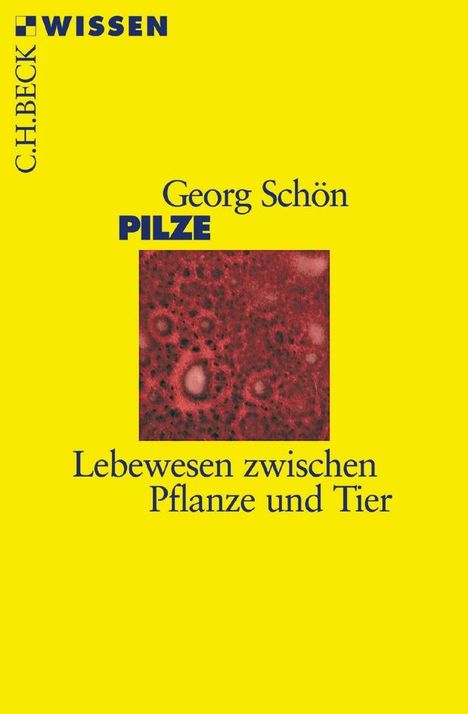 Georg Schön: Pilze, Buch