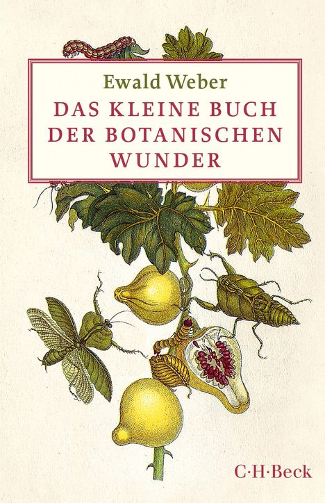 Ewald Weber: Das kleine Buch der botanischen Wunder, Buch
