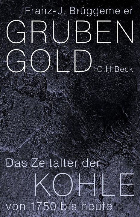 Franz-Josef Brüggemeier: Grubengold, Buch