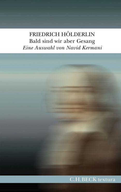 Friedrich Hölderlin: Bald sind wir aber Gesang, Buch