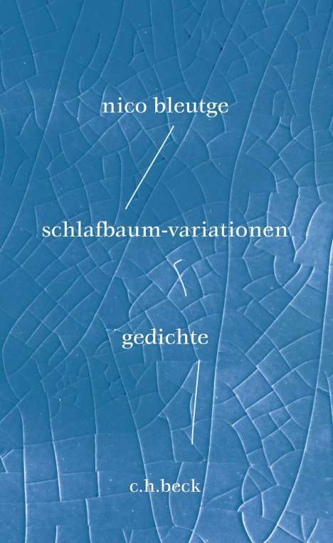 Nico Bleutge: schlafbaum-variationen, Buch