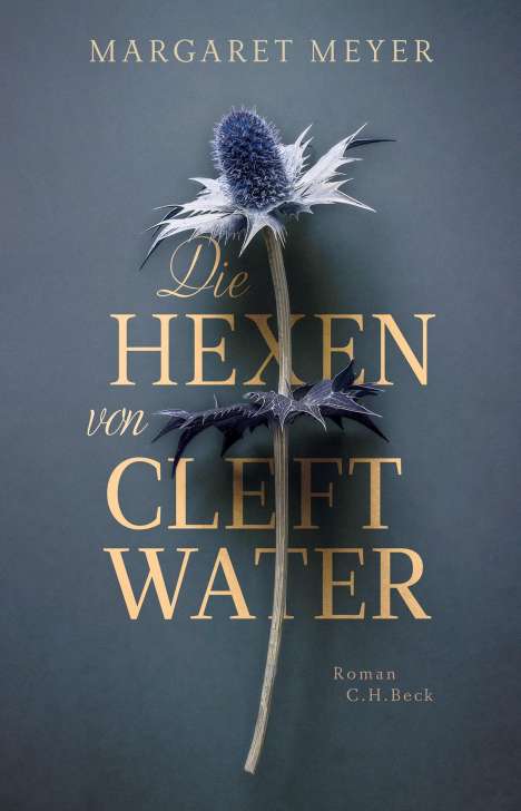 Margaret Meyer: Die Hexen von Cleftwater, Buch
