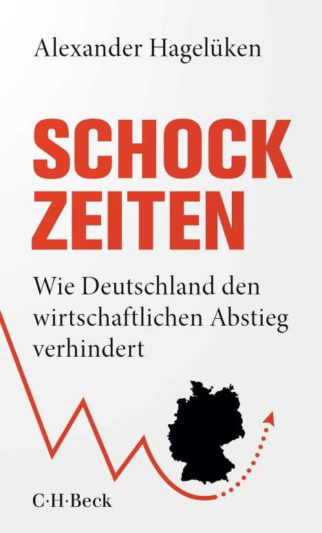 Alexander Hagelüken: Schock-Zeiten, Buch