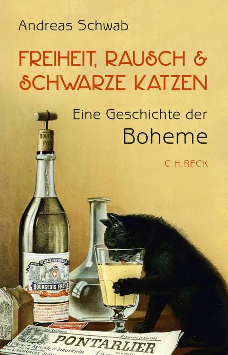 Andreas Schwab: Freiheit, Rausch und schwarze Katzen, Buch