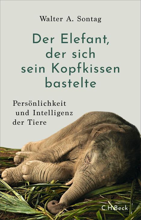 Text: "Walter A. Sontag. Der Elefant, der sich sein Kopfkissen bastelte. Persönlichkeit und Intelligenz der Tiere." Ein Elefant liegt auf Gras.