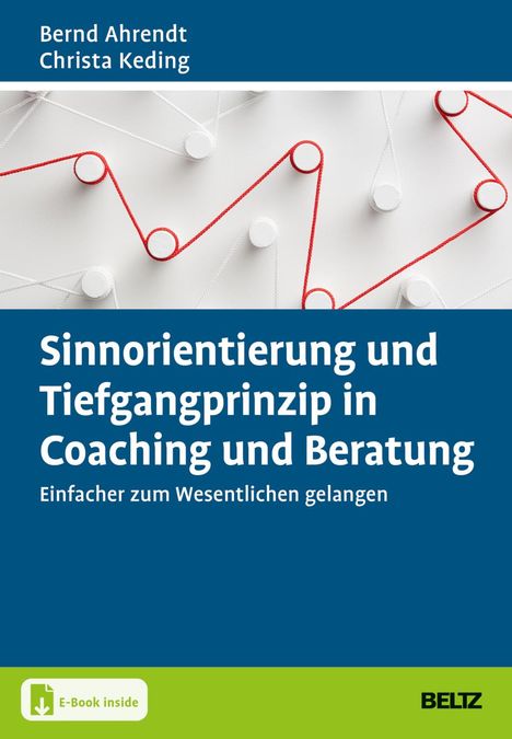 Bernd Ahrendt: Sinnorientierung und Tiefgangprinzip in Coaching und Beratung, 1 Buch und 1 Diverse