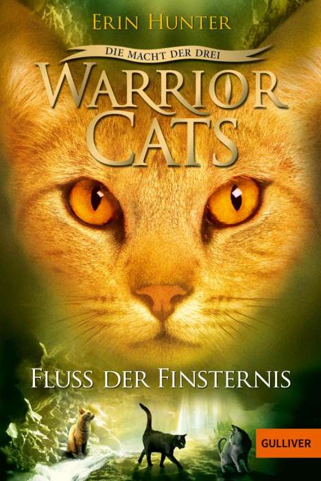 Erin Hunter: Warrior Cats Staffel 3/02. Die Macht der Drei. Fluss der Finsternis, Buch
