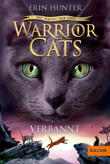 Erin Hunter: Warrior Cats Staffel 3/03. Die Macht der Drei. Verbannt, Buch