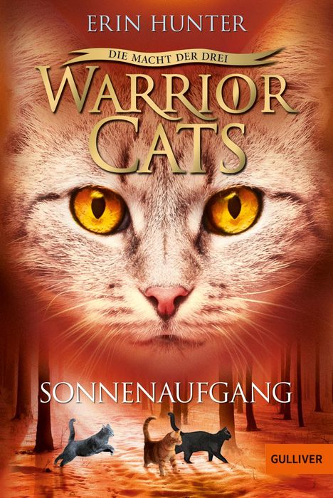 Erin Hunter: Warrior Cats Staffel 3/06. Die Macht der drei. Sonnenaufgang, Buch