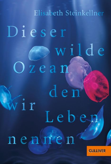 Elisabeth Steinkellner: Dieser wilde Ozean, den wir Leben nennen, Buch