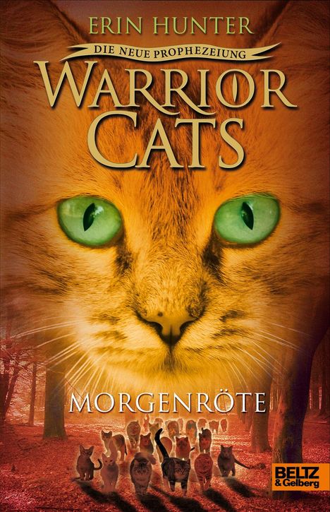 Erin Hunter: Hunter, E: Warrior Cats 2/3 neue Prophezeiung/Morgenröte, Buch
