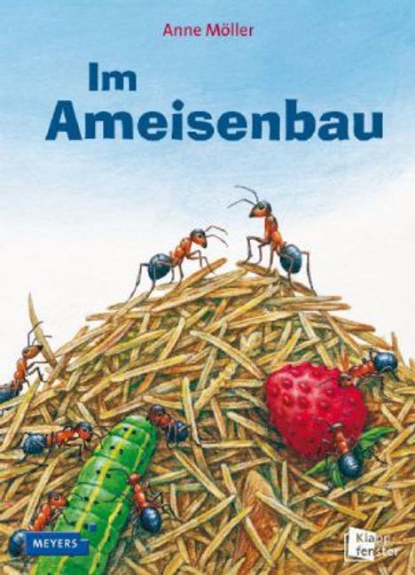 Anne Möller: Im Ameisenbau, Buch