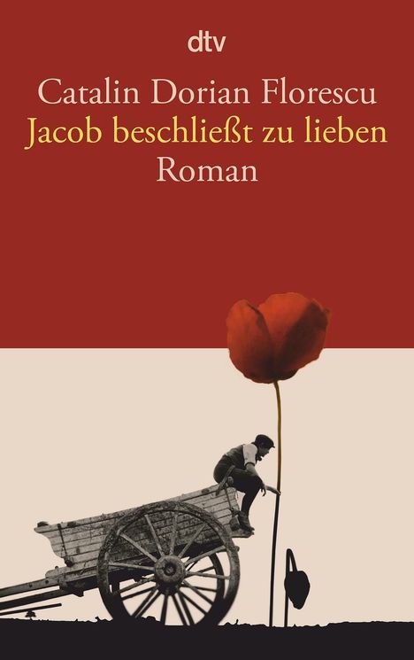 Catalin Dorian Florescu: Jacob beschließt zu lieben, Buch