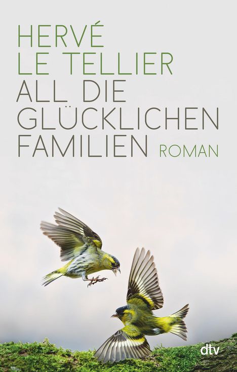 Hervé Le Tellier: All die glücklichen Familien, Buch