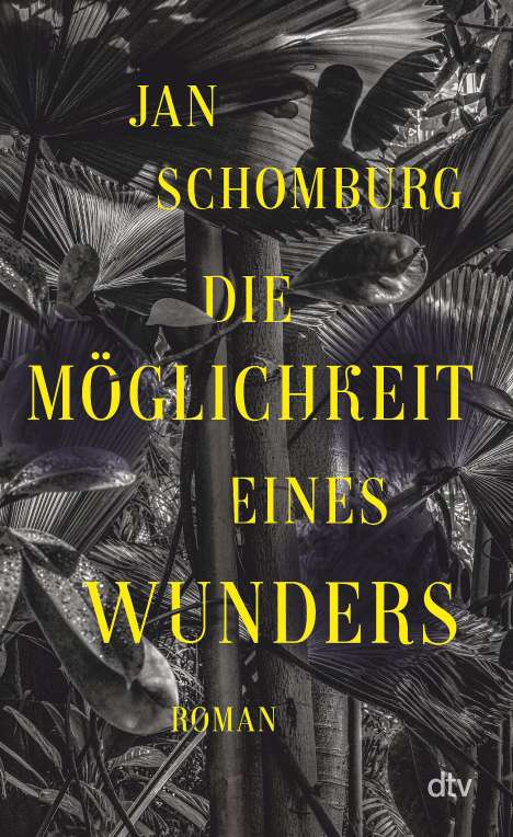 Jan Schomburg: Die Möglichkeit eines Wunders, Buch