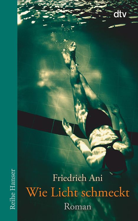 Friedrich Ani: Wie Licht schmeckt, Buch