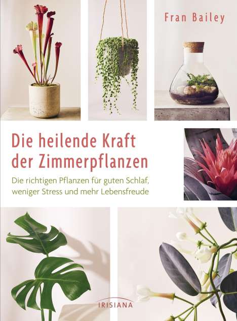 Fran Bailey: Die heilende Kraft der Zimmerpflanzen, Buch