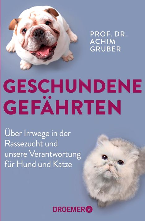 Titel: "Geschundene Gefährten". Oben Bulldogge, unten Katze; füllige Tiere, fröhliche Ausstrahlung; lila Hintergrund.
