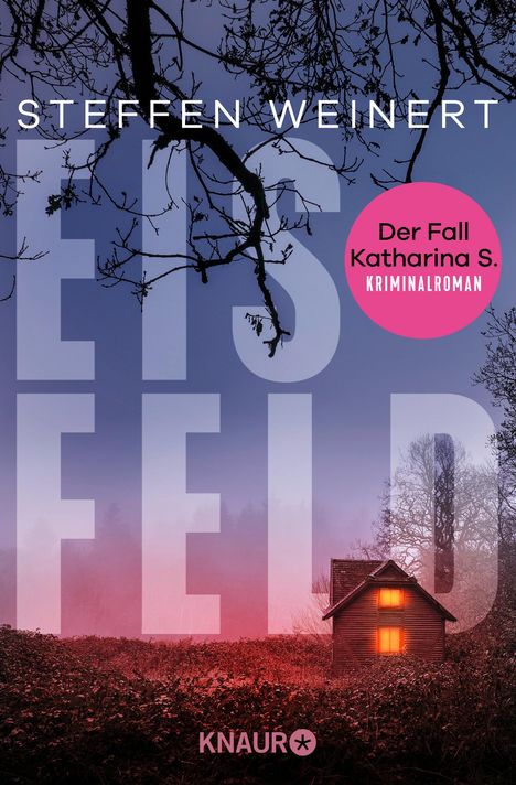 Steffen Weinert: Eisfeld - Der Fall Katharina S., Buch