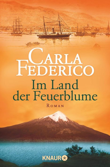 Carla Federico: Federico, C: Chile 1/Im Land der Feuerblume, Buch