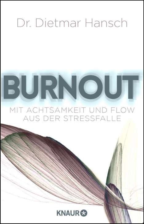 Dietmar Hansch: Hansch, D: Burnout, Buch