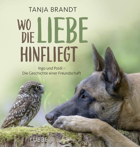 Tanja Brandt: Wo die Liebe hinfliegt, Buch