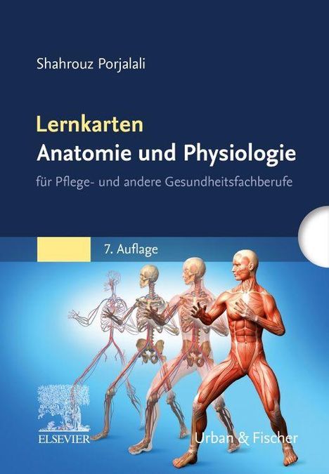 „Lernkarten Anatomie und Physiologie“ von Shahrouz Porjalali, 7. Auflage. Abbildungen menschlicher Körper in verschiedenen Stadien.