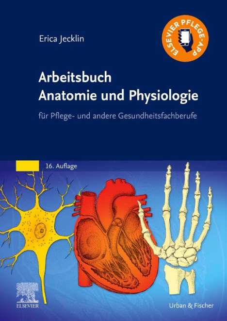 Erica Brühlmann-Jecklin: Brühlmann-Jecklin, E: Arbeitsbuch Anatomie und Physiologie, Buch
