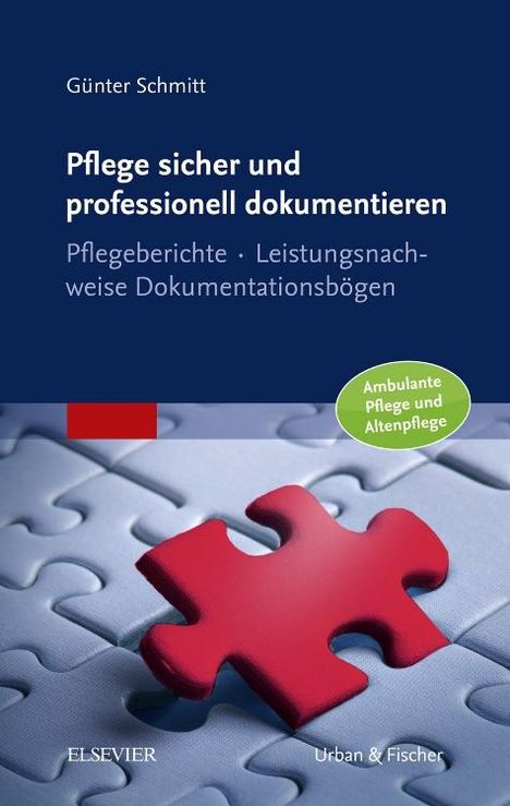 Günter Schmitt: Pflege sicher und professionell dokumentieren, Buch