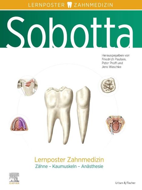 Sobotta Lernposter Zahnmedizin, Diverse