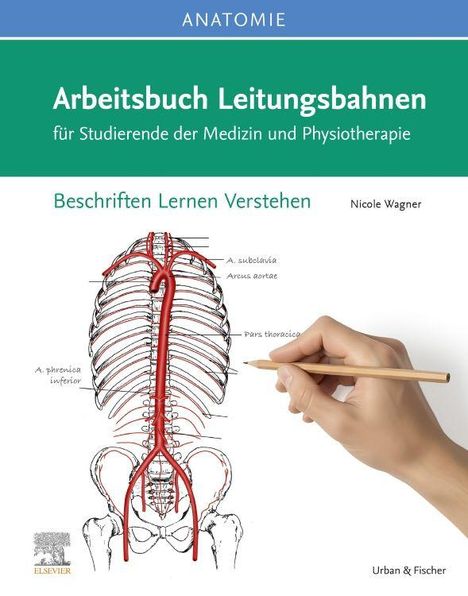 "Anatomie: Arbeitsbuch Leitungsbahnen. Beschriften Lernen Verstehen. Nicole Wagner. Illustration eines Rückenmarks mit Hand."