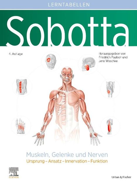 Sobotta Lerntabellen Anatomie Muskeln, Gelenke und Nerven, Buch