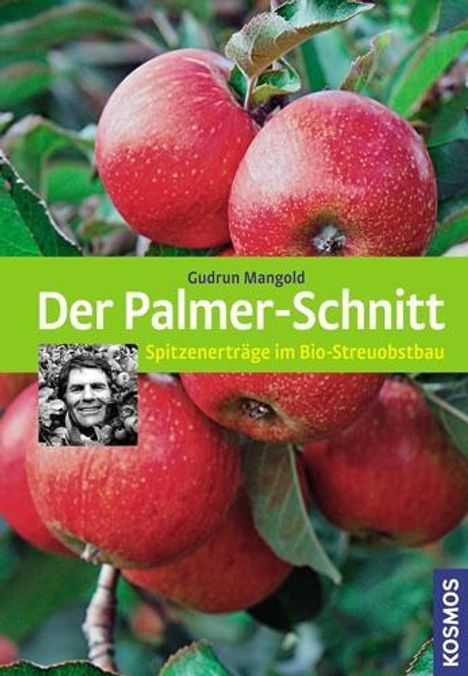 Gudrun Mangold: Der Palmer-Schnitt, Buch
