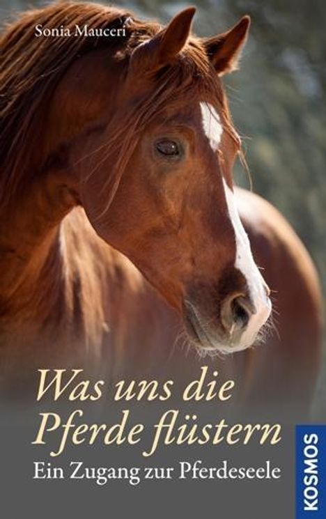 Sonia Mauceri: Mauceri, S: Was uns die Pferde flüstern, Buch