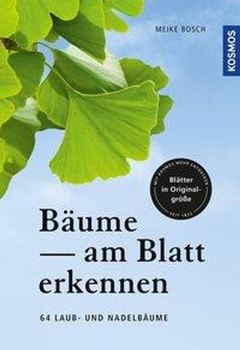 Meike Bosch: Bosch, M: Bäume am Blatt erkennen, Buch