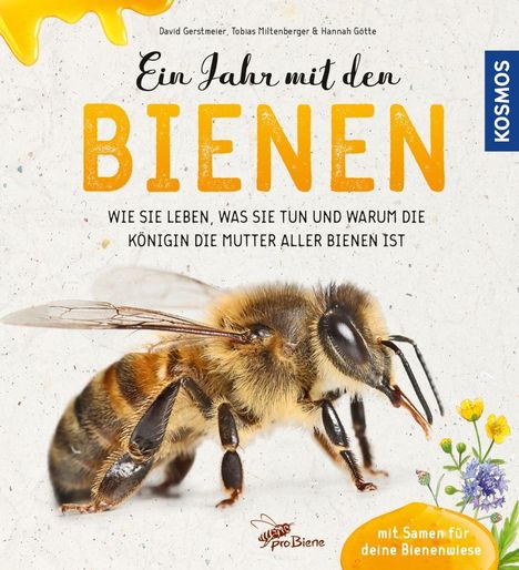 David Gerstmeier: Gerstmeier, D: Jahr mit den Bienen, Buch