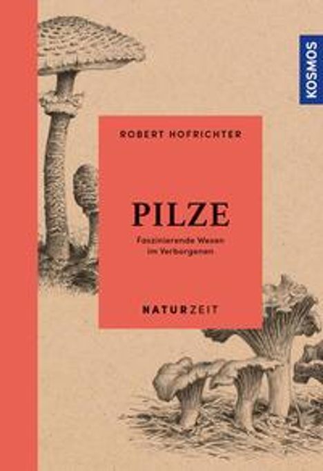 Robert Hofrichter: Hofrichter, R: Naturzeit Pilze, Buch