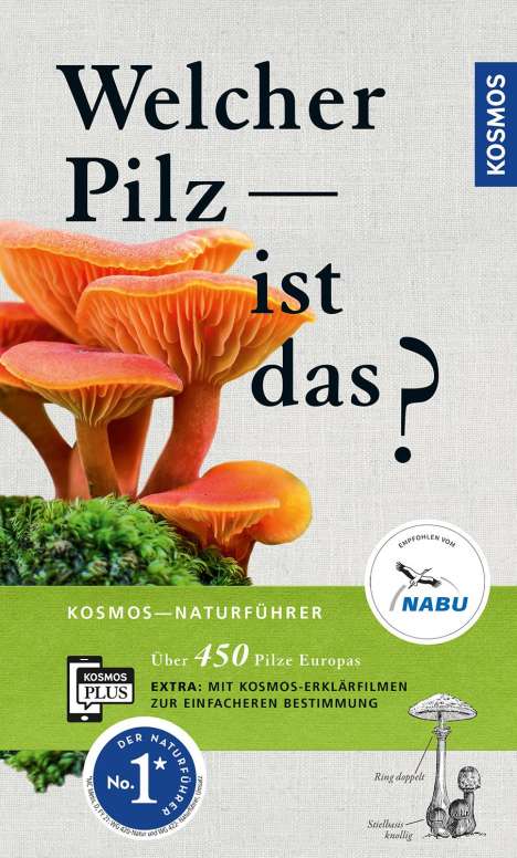 Andreas Gminder: Gminder, A: Welcher Pilz ist das?, Buch