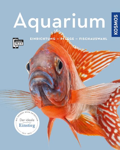 Angela Beck: Aquarium, Buch