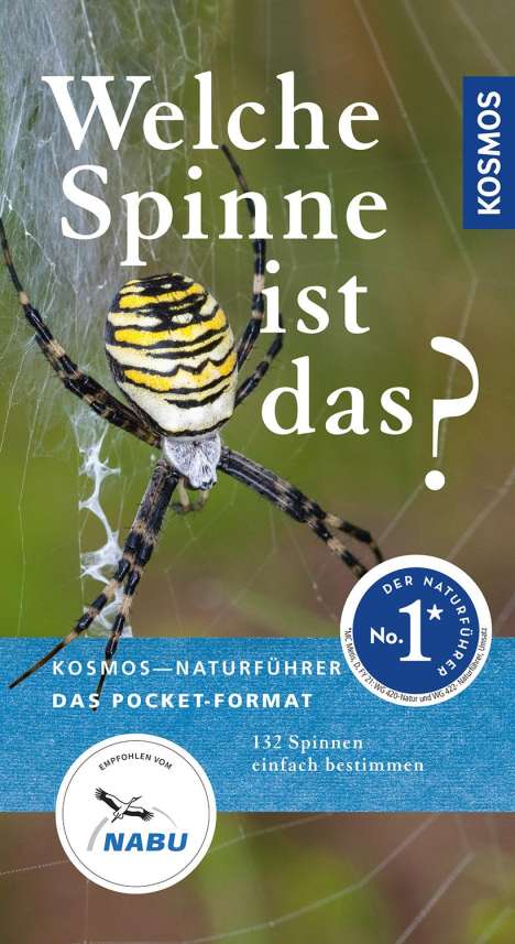 Martin Baehr: Baehr, M: Welche Spinne ist das?, Buch