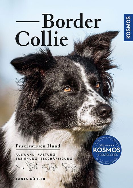 Tanja Köhler: Border Collie, Buch