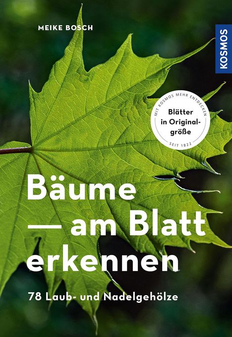 Meike Bosch: Bäume am Blatt erkennen, Buch