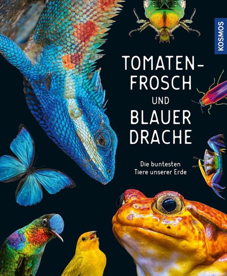 Andrea Köhrsen: Tomatenfrosch und blauer Drache, Buch