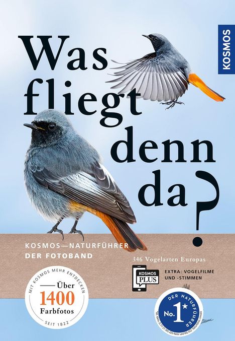 Cover/Produkt Ansicht vergrößern