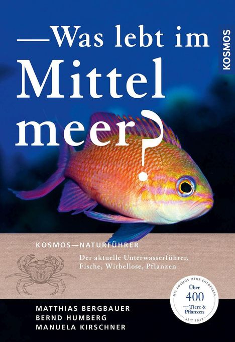 Matthias Bergbauer: Was lebt im Mittelmeer?, Buch